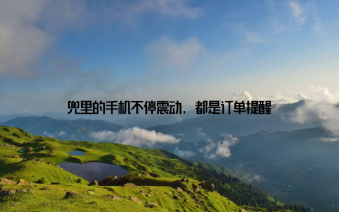 兜里的手机不停震动, 都是订单提醒