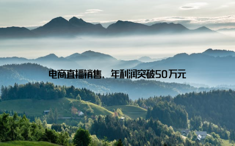 电商直播销售, 年利润突破50万元