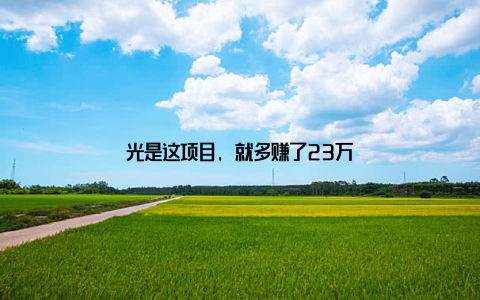 光是这项目, 就多赚了23万