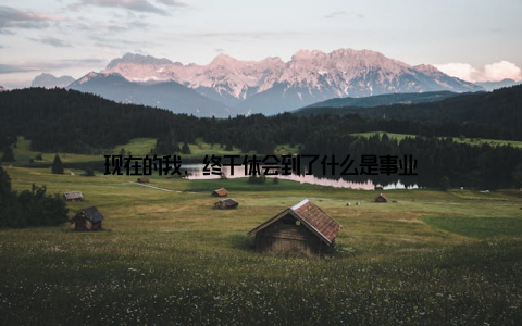 现在的我, 终于体会到了什么是事业