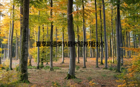 夏季高温季节最考验养殖技术
