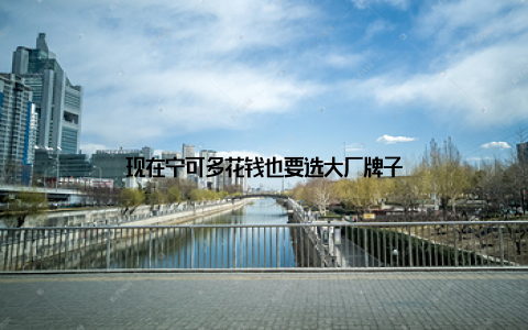 现在宁可多花钱也要选大厂牌子