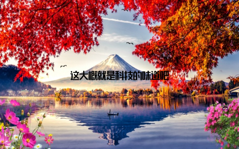 这大概就是科技的味道吧