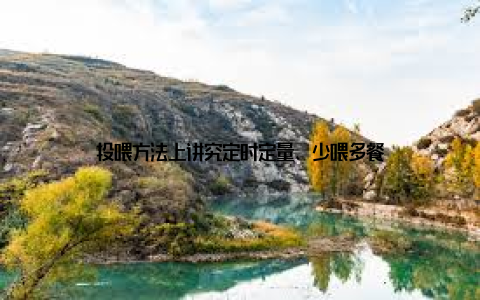 投喂方法上讲究定时定量、少喂多餐