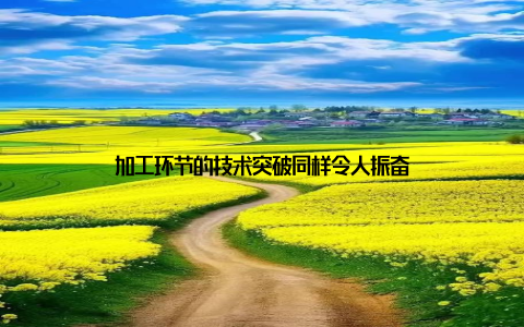 加工环节的技术突破同样令人振奋