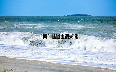 “闻”味道也很关键