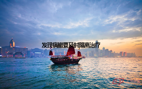 发现病鳅要及时隔离治疗