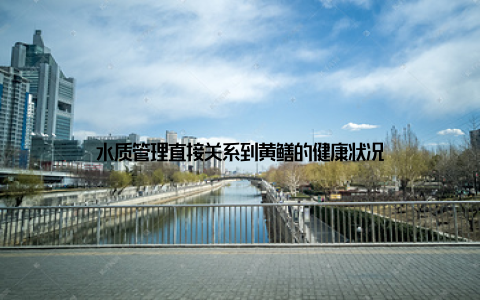 水质管理直接关系到黄鳝的健康状况