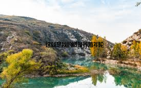 — 这就是我的鲫鱼养殖年轮