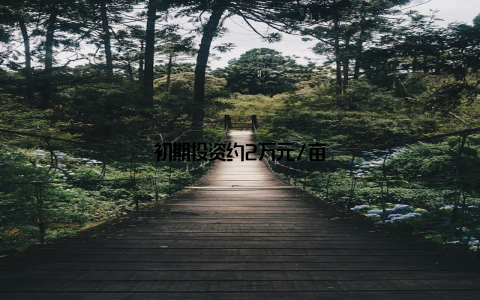 初期投资约2万元/亩