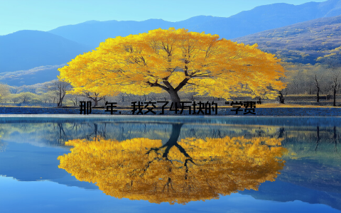 那一年, 我交了4万块的“学费”