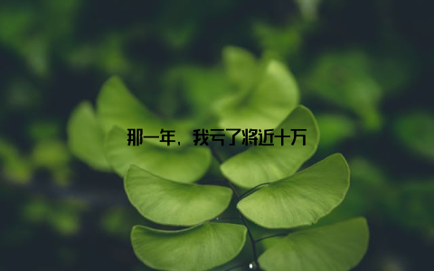 那一年, 我亏了将近十万