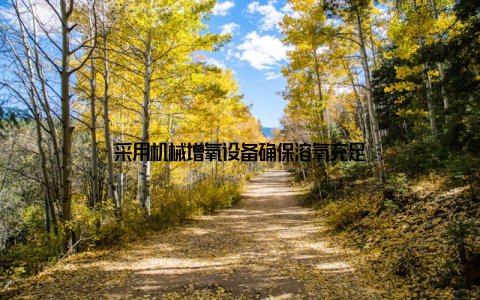 采用机械增氧设备确保溶氧充足