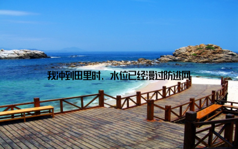 我冲到田里时, 水位已经漫过防逃网