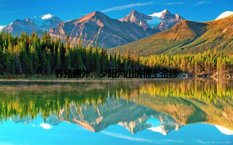 养殖棚外, 夕阳为山坡披上金纱