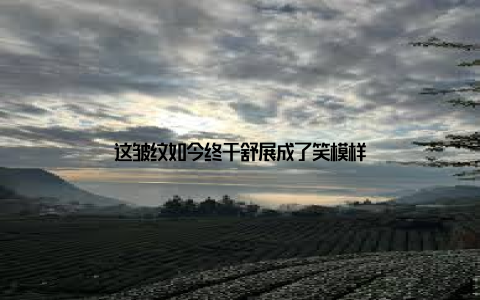 这皱纹如今终于舒展成了笑模样
