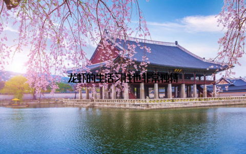 龙虾的生活习性也非常独特