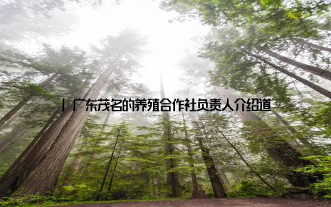 」广东茂名的养殖合作社负责人介绍道