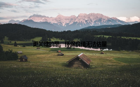 更关键的是, 环保价值无法估量