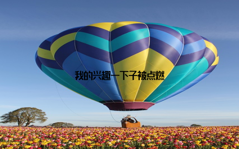 我的兴趣一下子被点燃