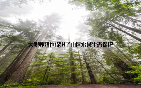大鲵养殖也促进了山区水域生态保护