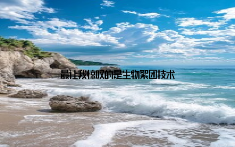 最让我惊叹的是生物絮团技术