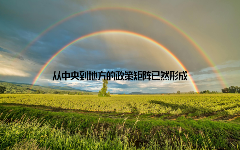 从中央到地方的政策矩阵已然形成