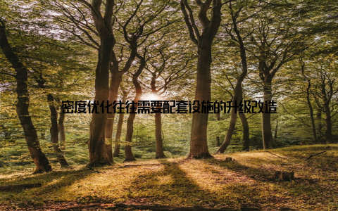 密度优化往往需要配套设施的升级改造