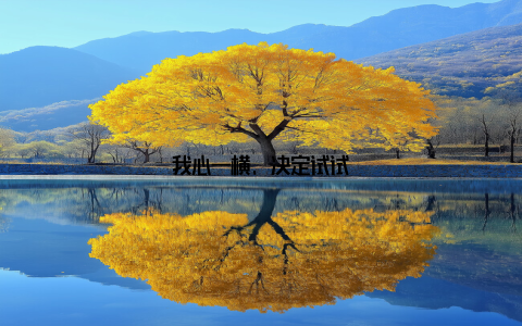 我心一横, 决定试试