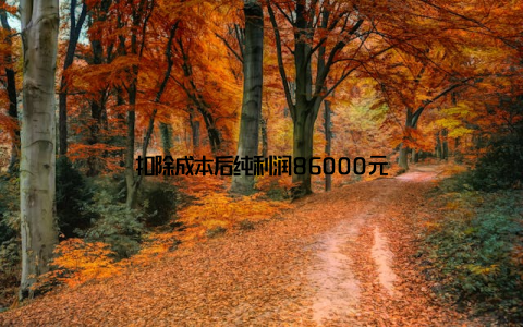 扣除成本后纯利润86000元