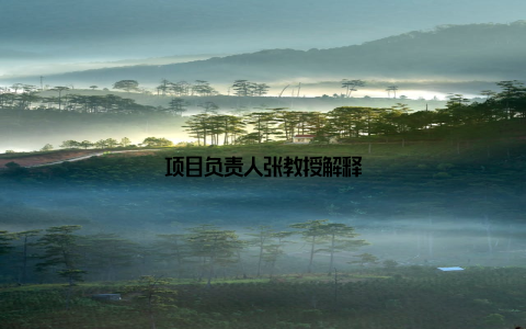 项目负责人张教授解释