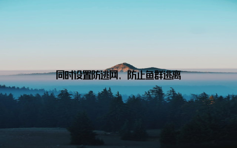 同时设置防逃网, 防止鱼群逃离