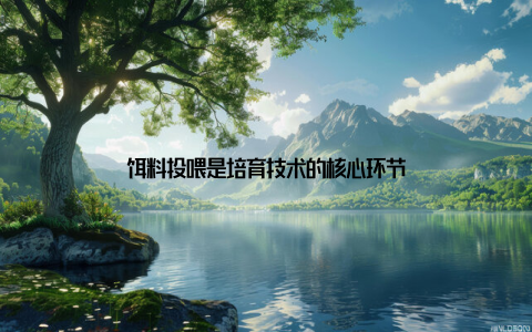 饵料投喂是培育技术的核心环节