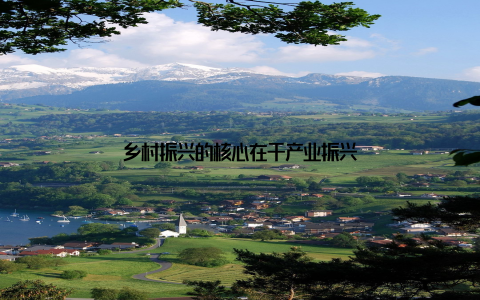 乡村振兴的核心在于产业振兴