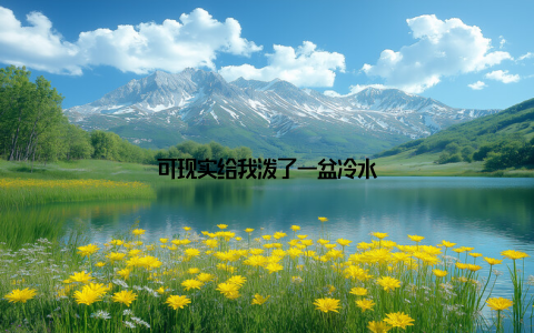 可现实给我泼了一盆冷水