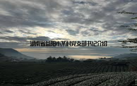 湖南省益阳市某村党支部书记介绍