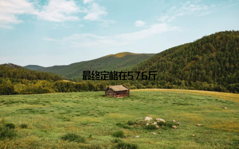 最终定格在576斤