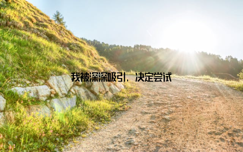 我被深深吸引, 决定尝试