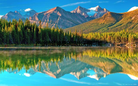 产业链延伸更创造出无限可能