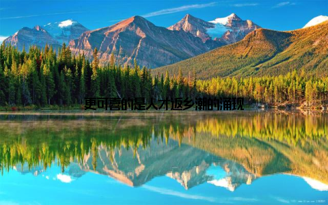 更可喜的是人才返乡潮的涌现