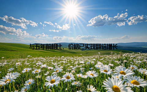 与五年前相比, 价格已实现翻倍增长