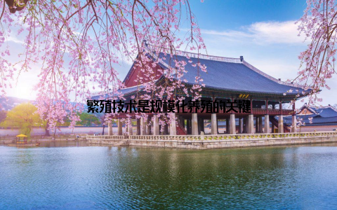 繁殖技术是规模化养殖的关键