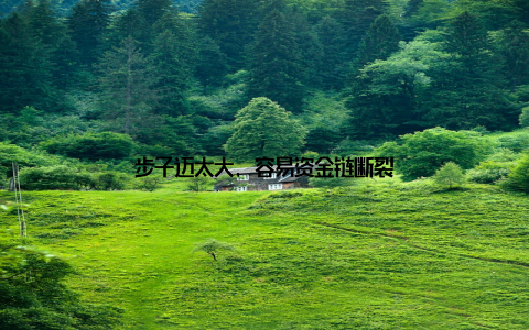 步子迈太大, 容易资金链断裂